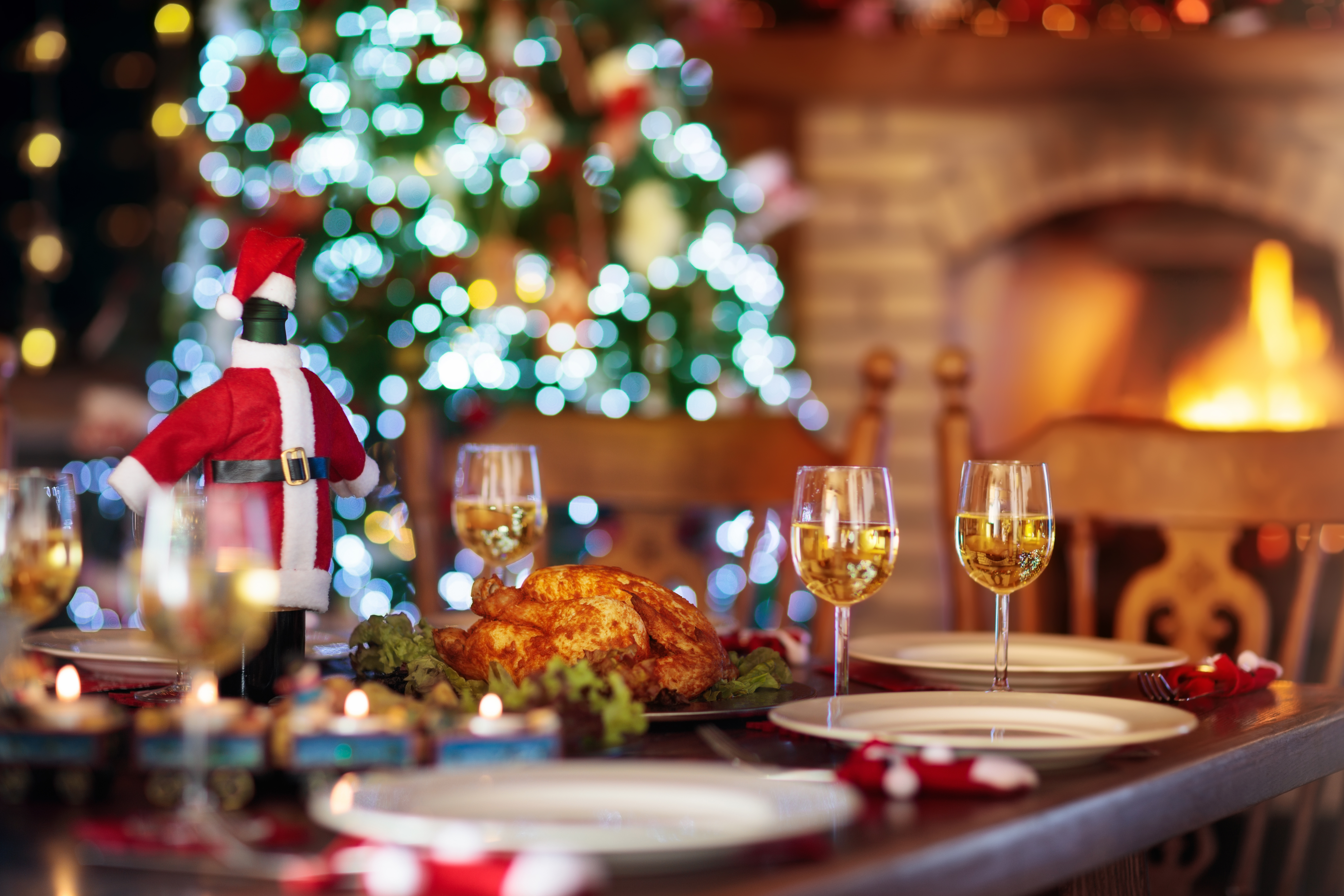 Julemiddag med stegt kalkun og hvidvin ved hyggelig pejs
