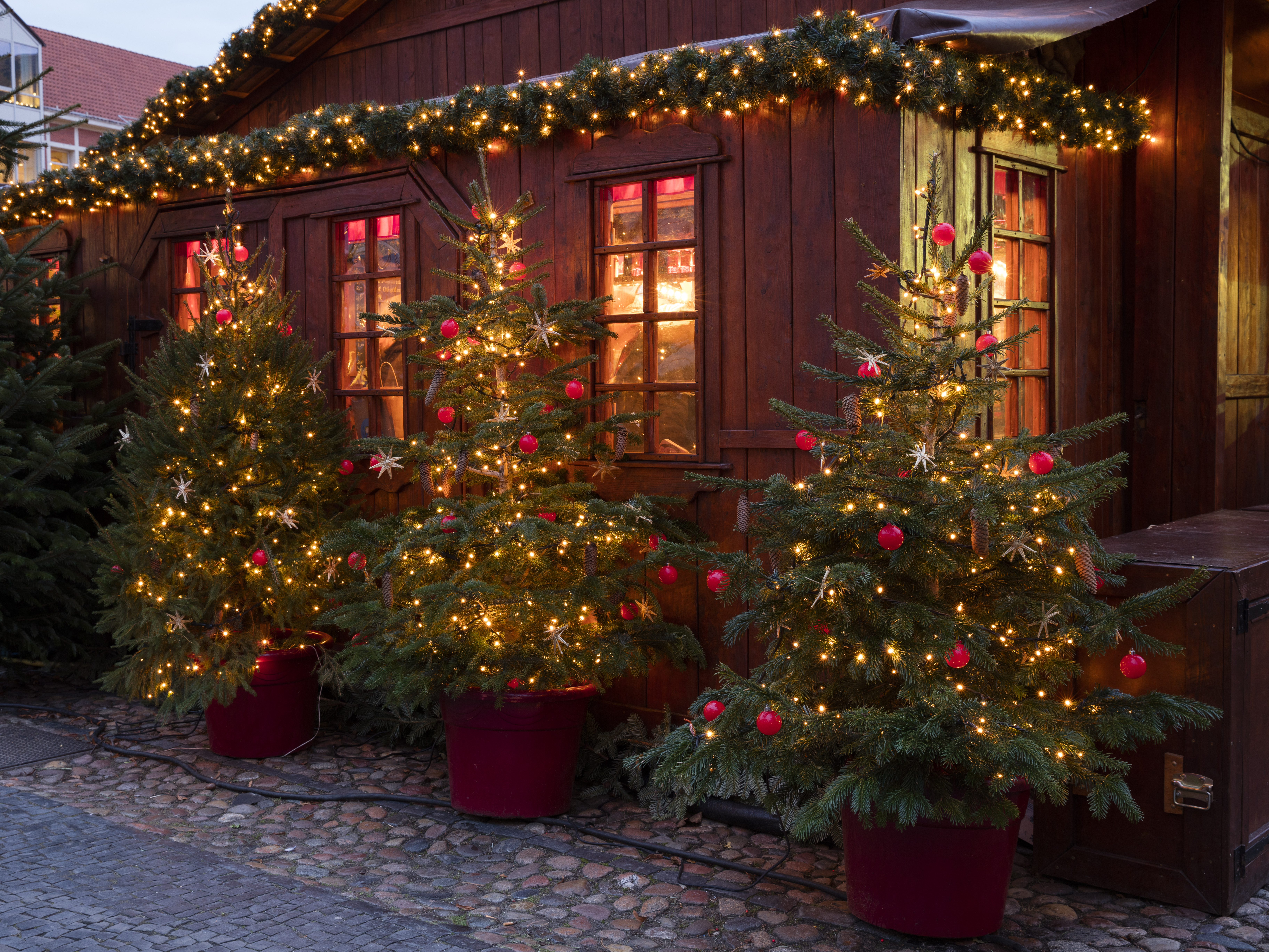 Hyggelig julebod med lysende juletræer og festlige dekorationer