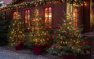 Hyggelig julebod med lysende juletræer og festlige dekorationer