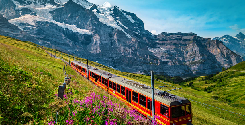 Jungfraubanen med rødt tandhjulstog kører gennem blomsterenge med udsigt til sneklædte bjergtinder i de schweiziske alper ved Kleine Scheidegg
