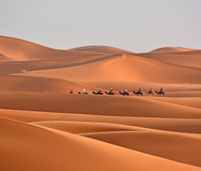 Kamelkaravane på vandretur gennem de orange sandklitter i Sahara-ørkenen i Marokko, perfekt til eventyrrejser
