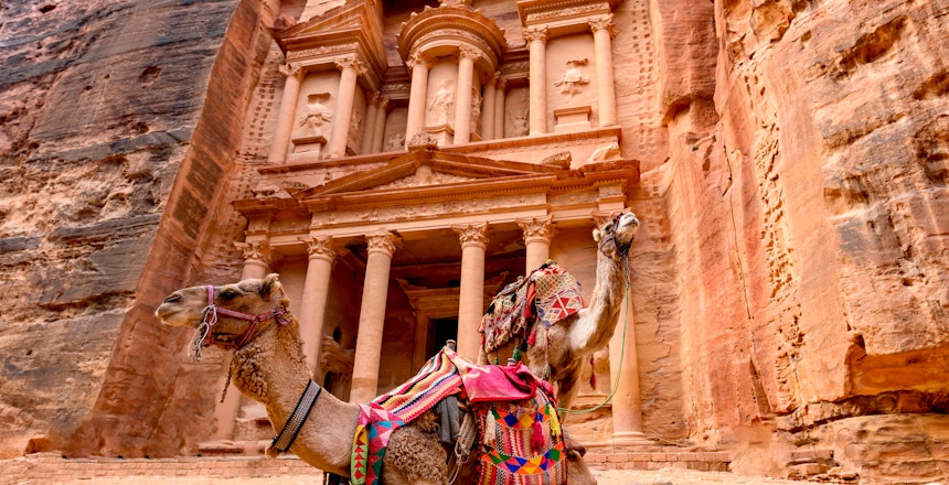 To kameler foran Al Khazneh (Skatkammeret) i Petra, Jordan. Historisk nabatæisk arkæologisk seværdighed udskåret i de røde sandstensklipper, UNESCO verdensarvssted.