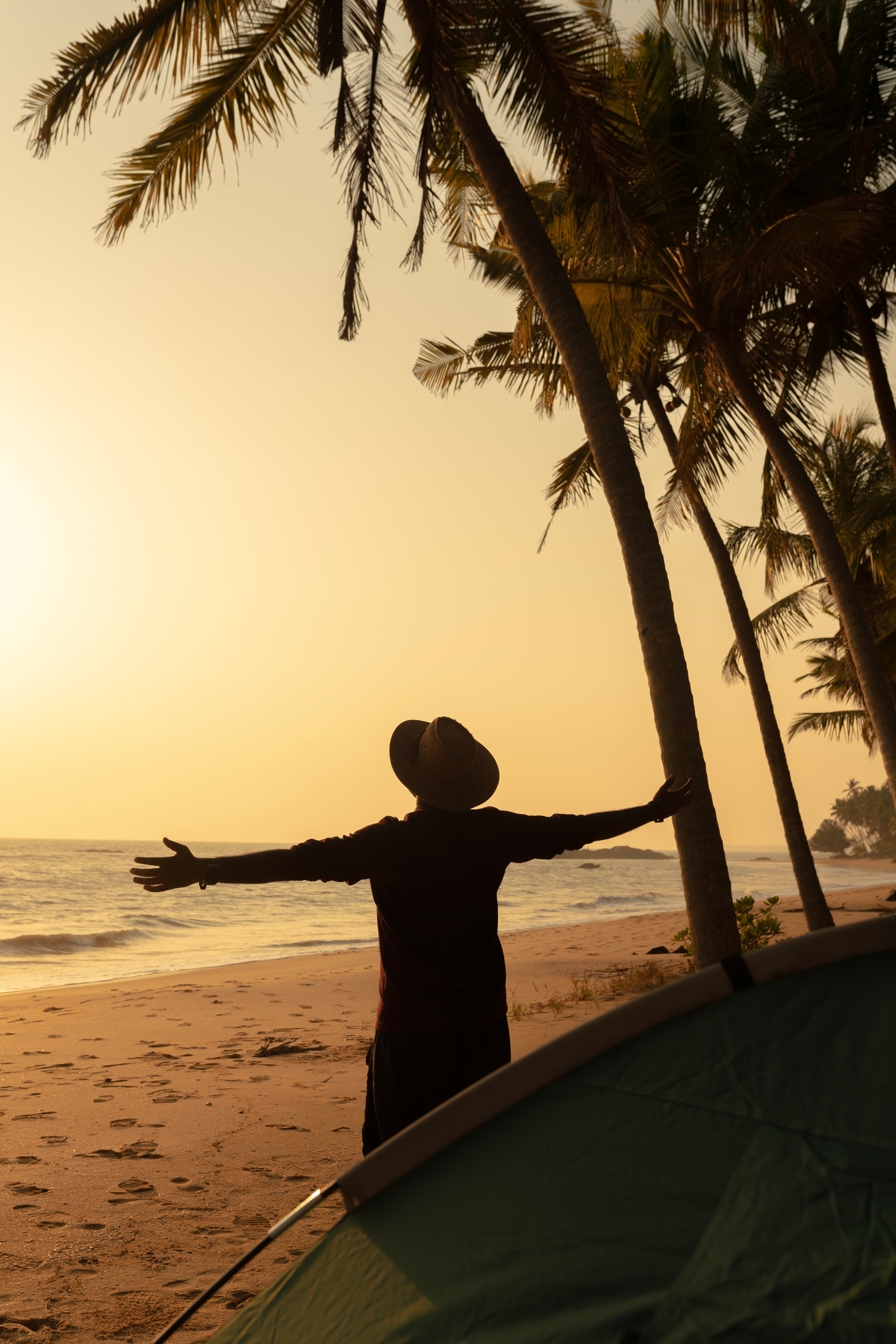 Silhuet af turist med surfbræt nyder den gyldne solnedgang på Kannur-stranden i Kerala med palmer, der indfanger essensen af frihed og ferieglæde