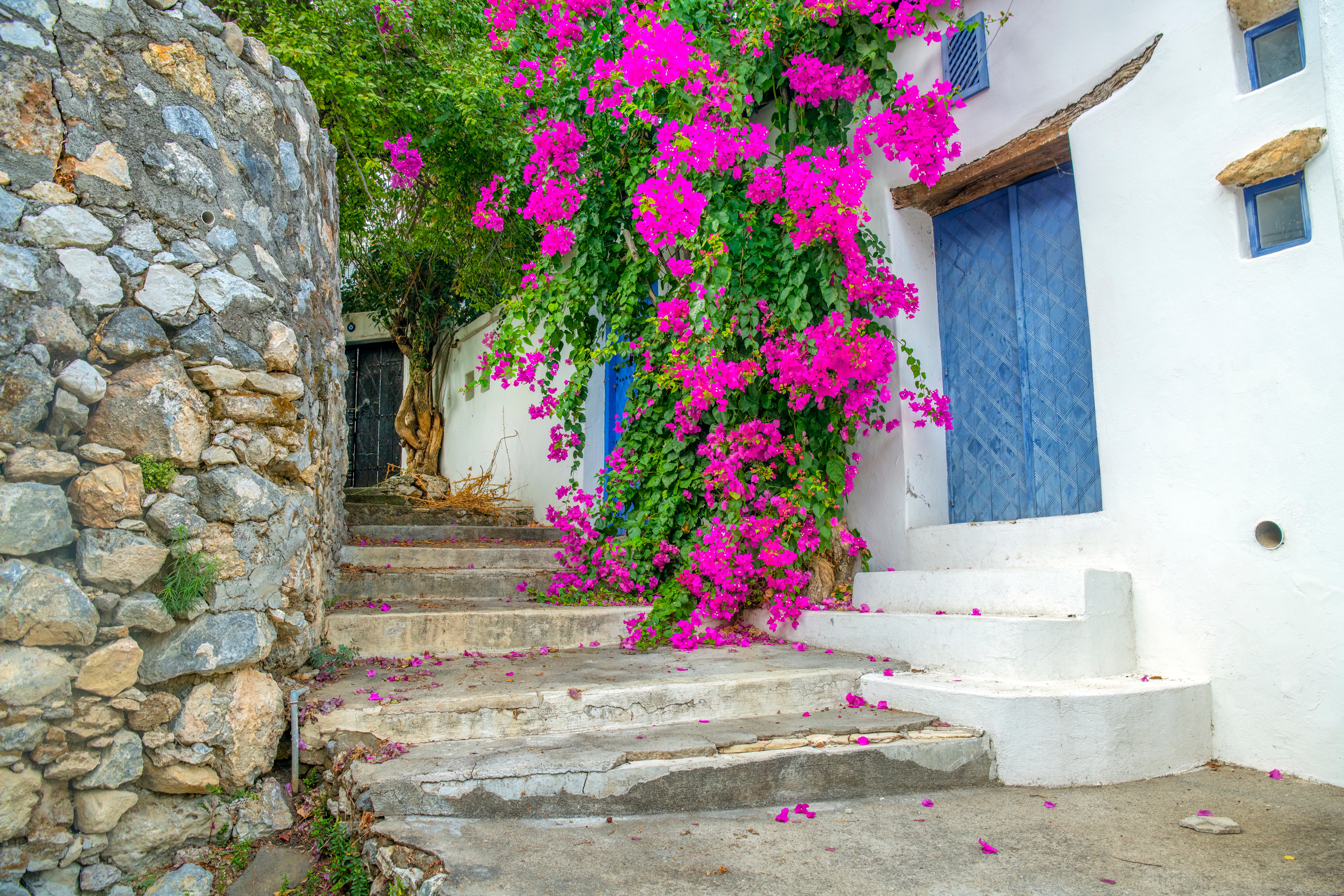 Charmerende hvide huse i Karmi landsbyen med bjergudsigt i Kyrenia, Nordcypern