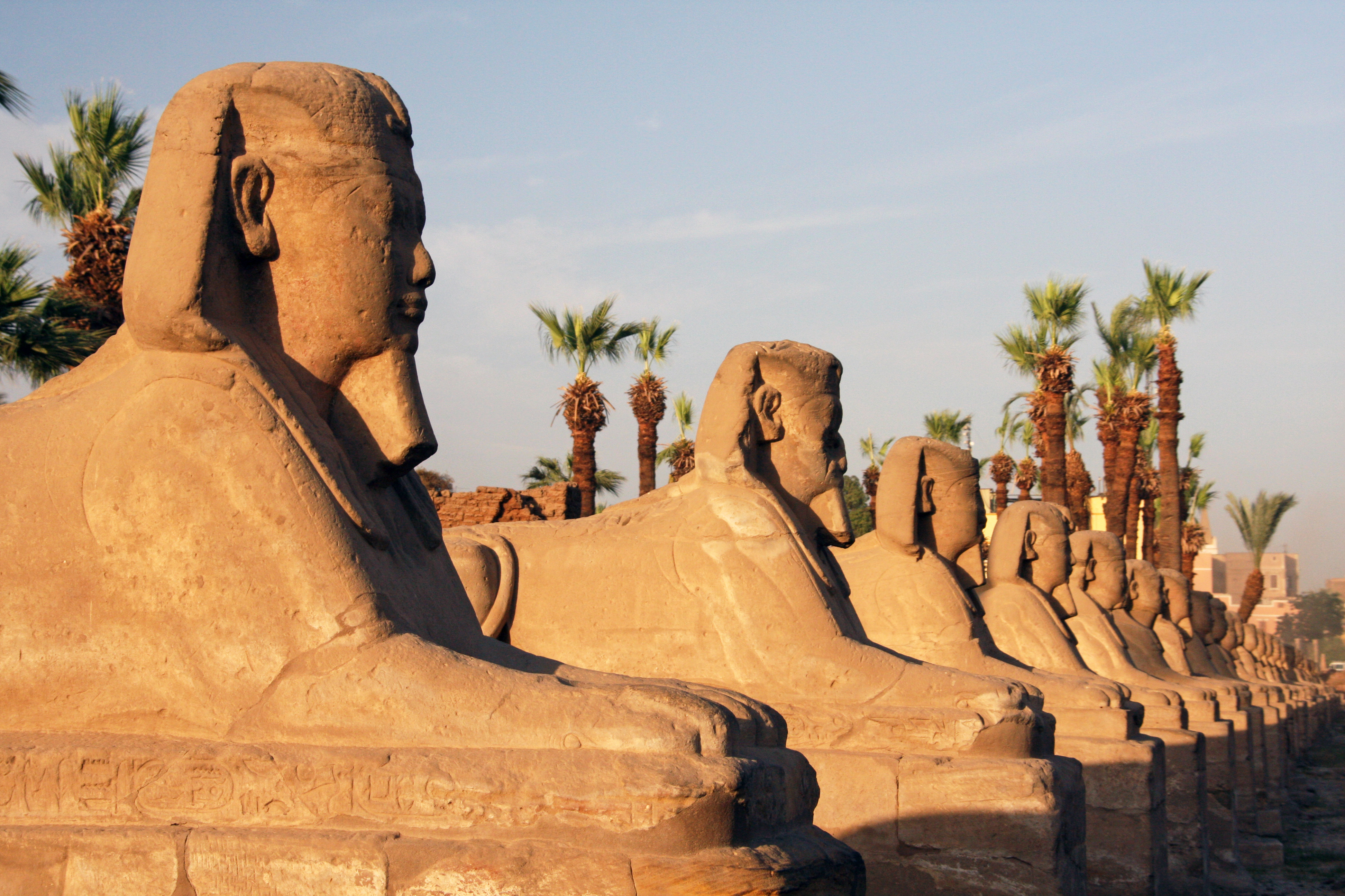 Antikke sfinks-statuer langs den hellige allé ved Karnak Tempel komplekset i Luxor, Egypten
