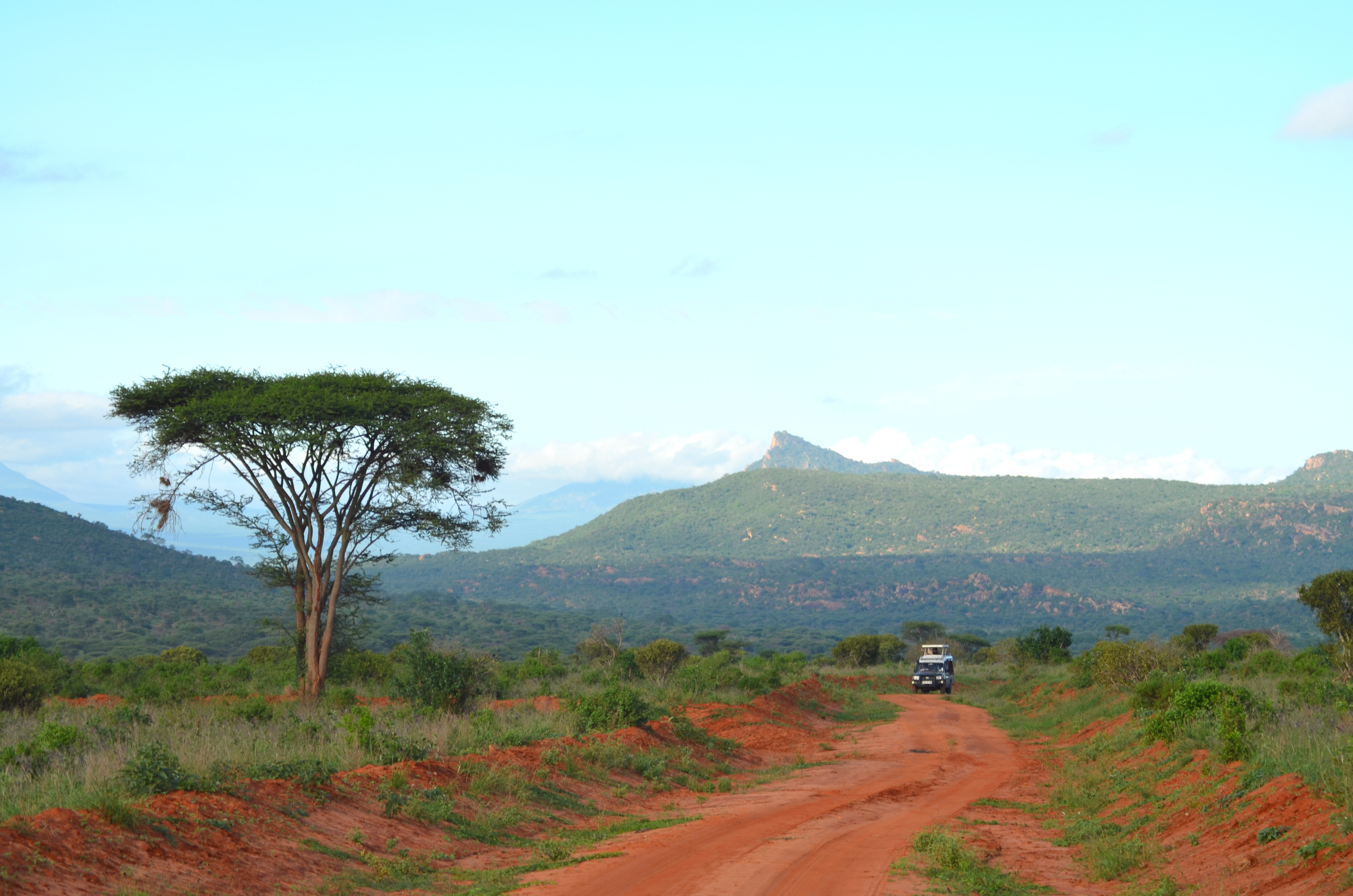 Safari køretøj på rød jordvej med akacietræ og bjerge i Kenya nationalpark