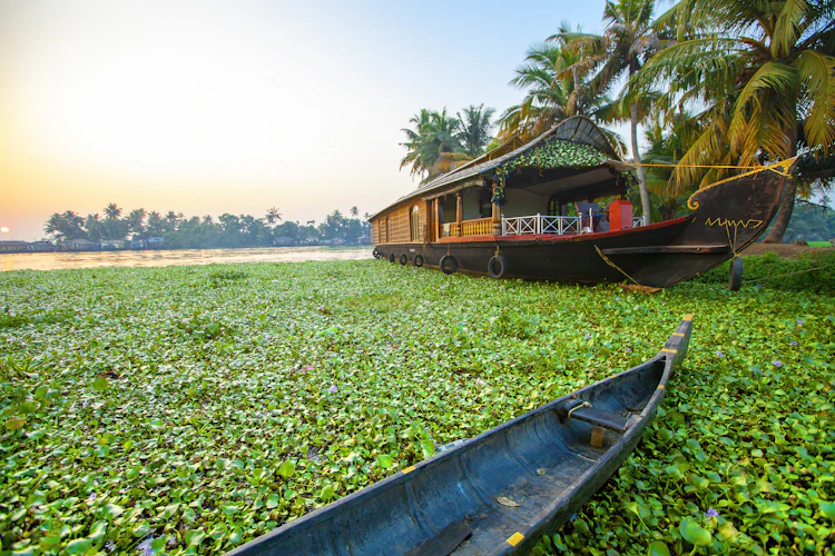 Traditionel husbåd på Keralas backwaters med åkander ved solnedgang nær Alleppey i Sydindien