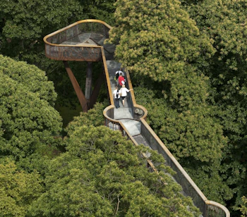 Luftfoto af trætoppe-gangstien i Kew Gardens London med grønne trækroner og besøgende på den ophøjede sti