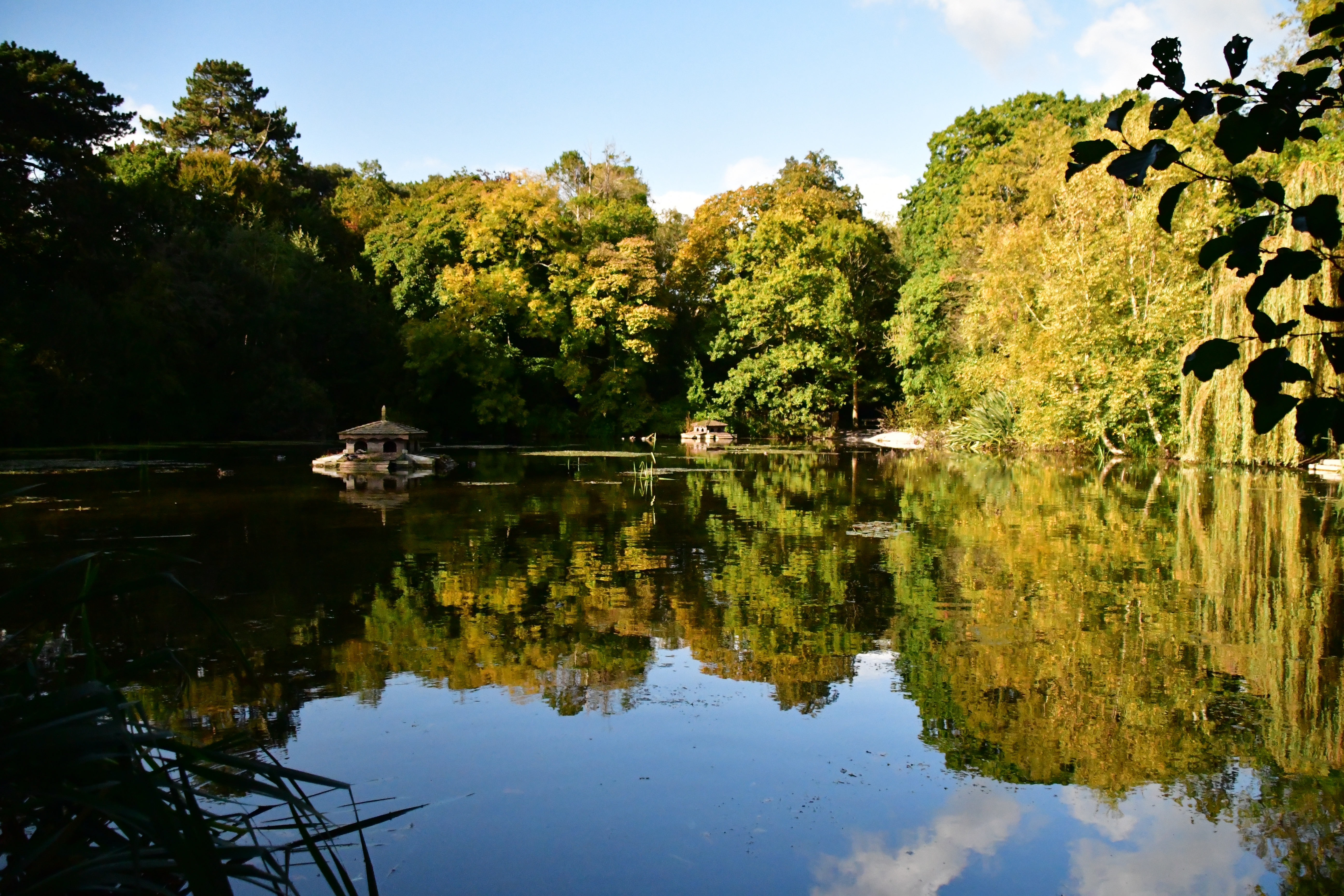 Smuk spejling af træer i vandoverfladen i Kilkenny Castle Park, en naturperle i Irland