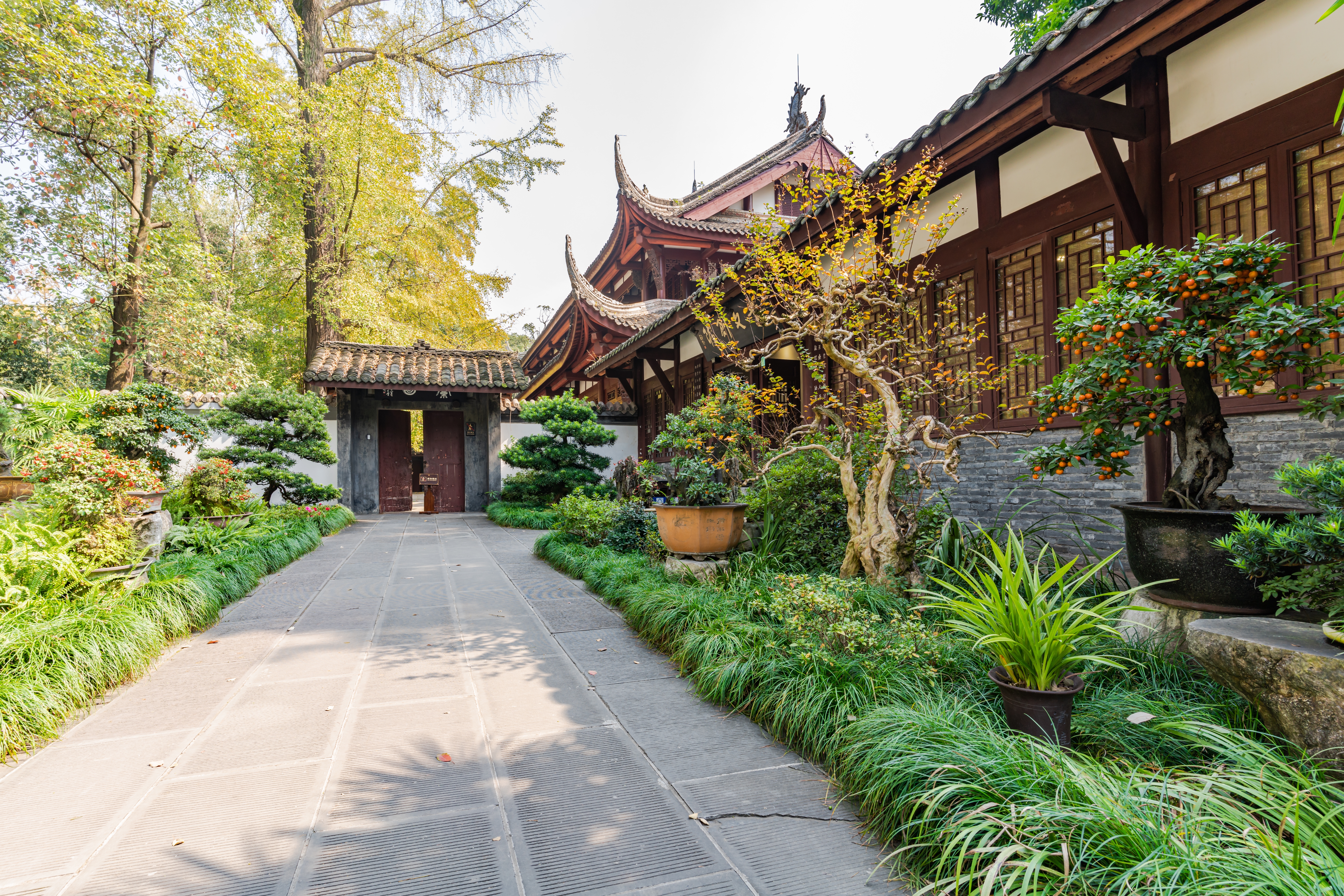 Traditionel kinesisk havearkitektur med pagode-tage og frodig beplantning ved Du Fu Museum i Chengdu
