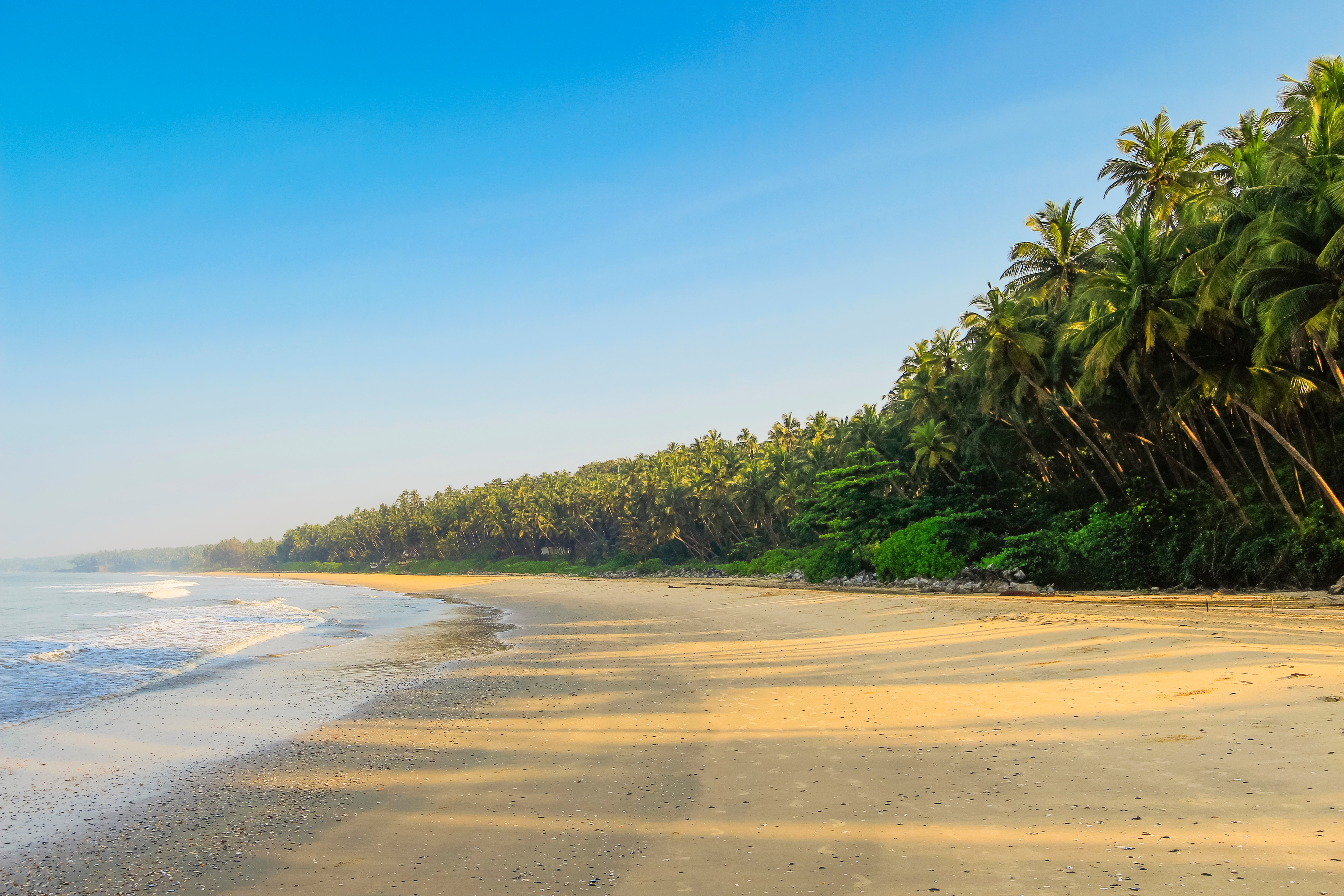 Uberørt Kizhunna strand med gyldent sand og hældende palmer i Kerala, Indien - et fredfyldt paradis ved Det Arabiske Hav