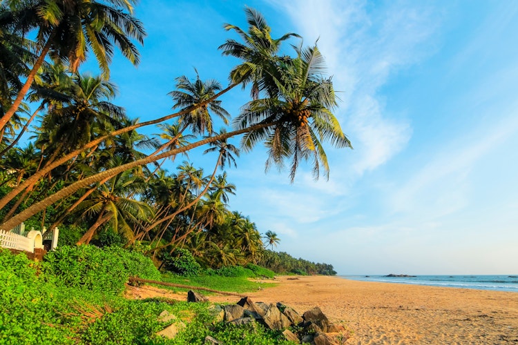 Idyllisk og uberørt Kizhunna strand nær Kannur i Kerala med skrånende palmer, gyldent sand og turkisblåt hav under skyet himmel