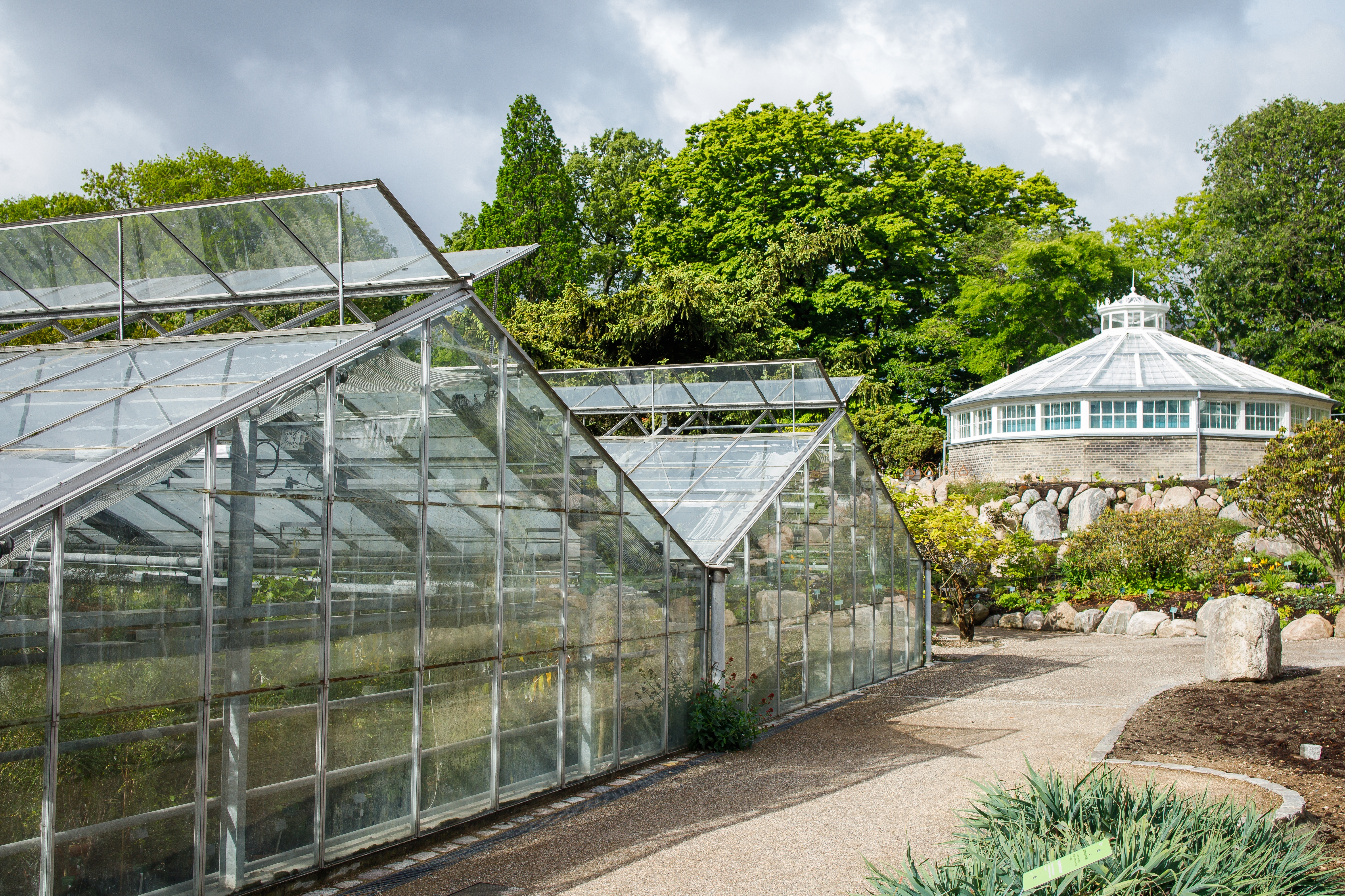Historiske glasdrivhuse i Københavns Botaniske Have med frodig vegetation og smuk arkitektur
