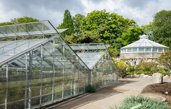 Historiske glasdrivhuse i Københavns Botaniske Have med frodig vegetation og smuk arkitektur