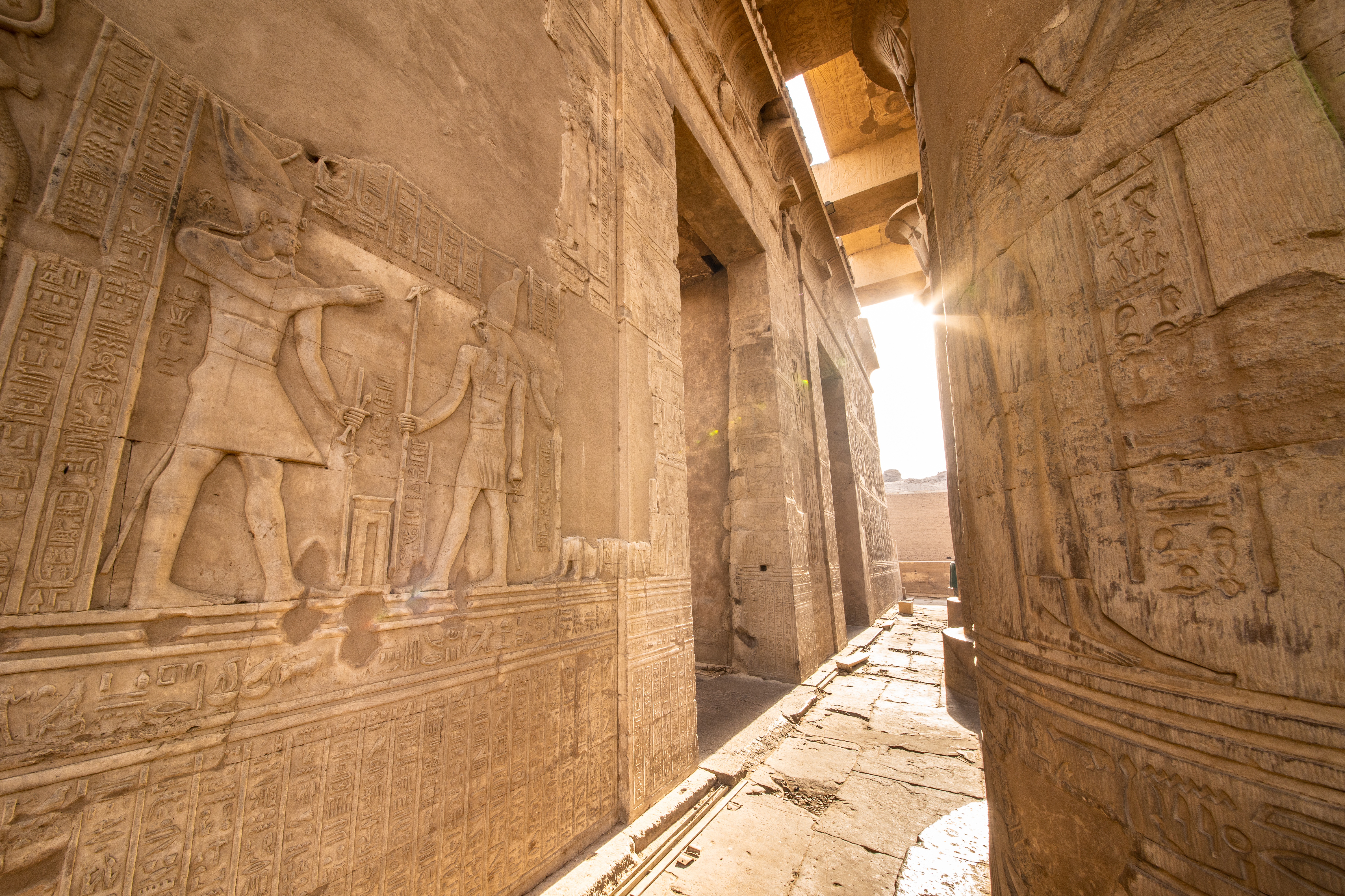 Smukke hieroglyffer og reliefskulpturer af egyptiske guder på stenvæggene i Kom Ombo templet ved Nilen i Egypten