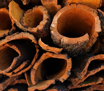 Nyligt høstet korkbark fra korkeg der tørrer i sollys i Alentejo-regionen, Portugal. Naturlig og bæredygtig ressource med karakteristisk tekstur.