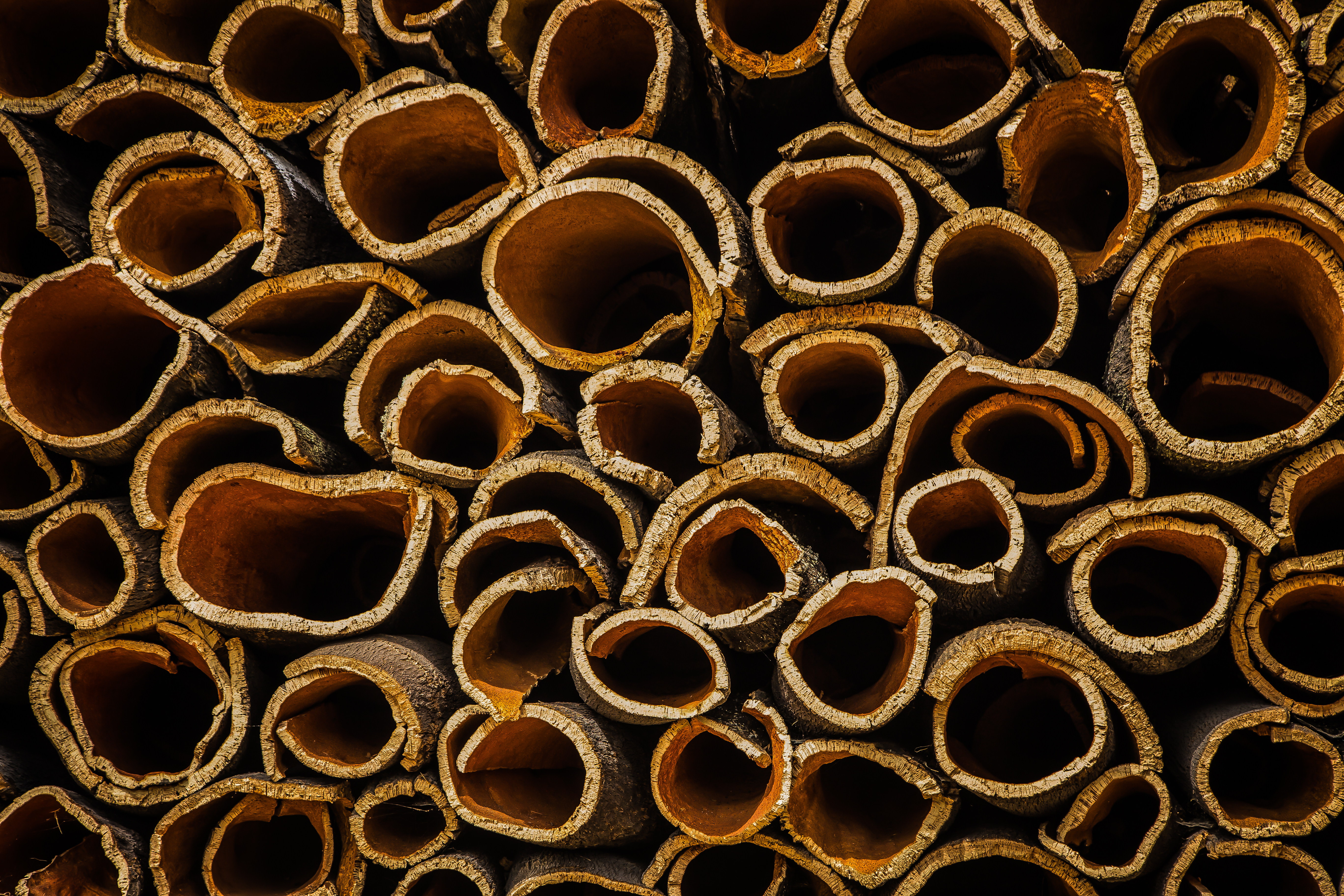 Høstet korkbark på mark i Algarve Portugal - traditionel korkindustri under udflugten til São Brás de Alportel