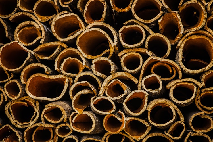 Høstet korkbark på mark i Algarve Portugal - traditionel korkindustri under udflugten til São Brás de Alportel