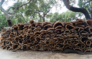 Stabel af naturlig korkeg-bark høstet i Algarve-regionen i Portugal, som viser bæredygtigt materiale til vinproduktion