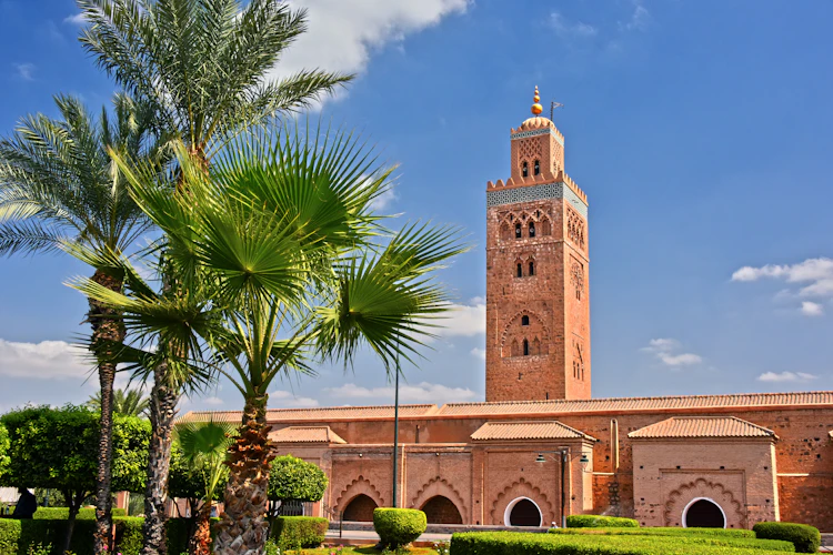 Den historiske Koutoubia Moské med sit høje minaret-tårn mod en blå himmel i Marrakesh, Marokko, omgivet af palmer