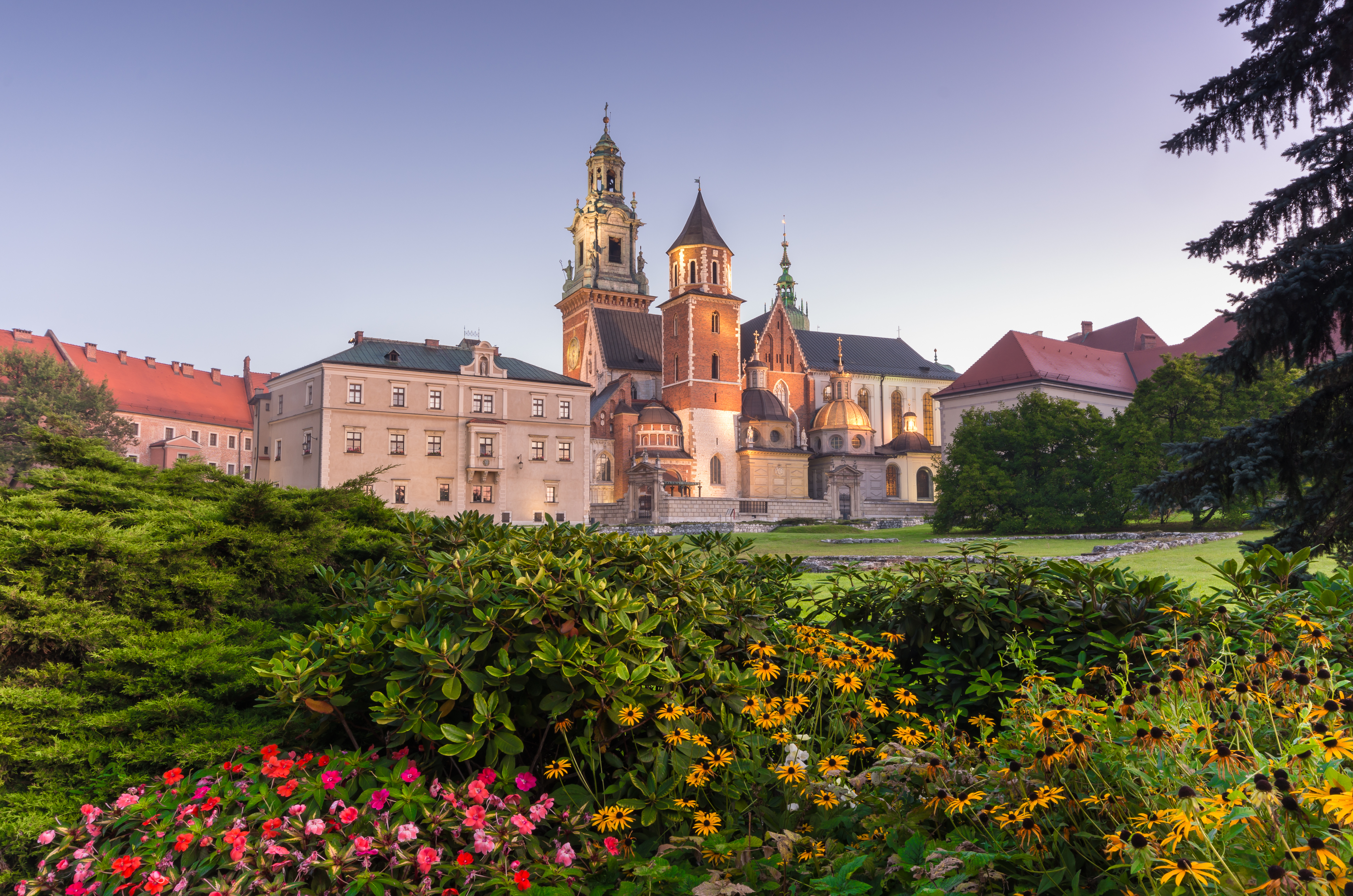 Smuk morgenudsigt over det historiske Wawel-kompleks med den imponerende katedral og det kongelige slot på Wawel-højen, badet i gyldent lys mod en klar blå himmel i Krakow, Polen