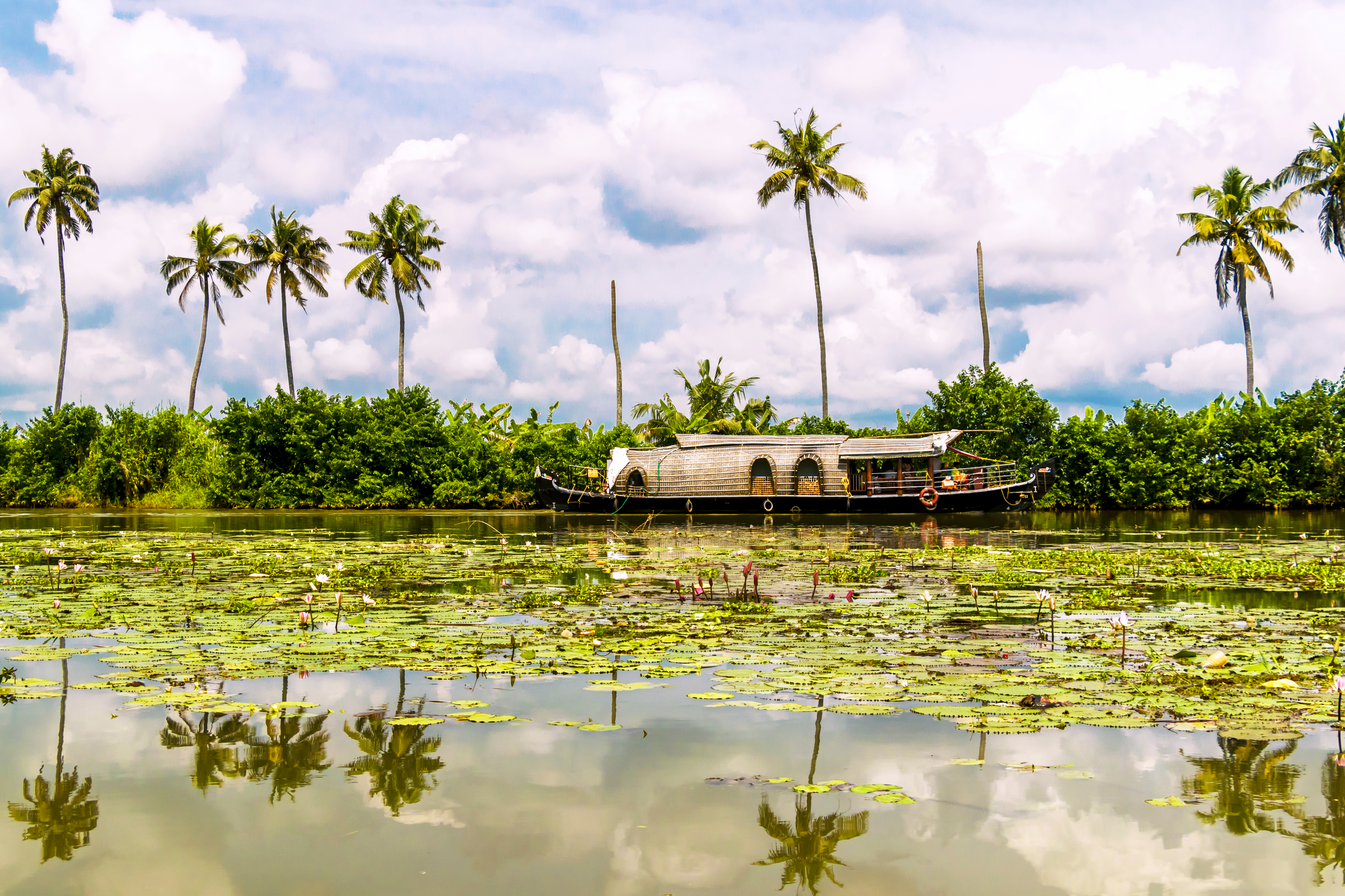 Traditionel træhusbåd der sejler gennem de fredelige Kumarakom backwaters i Kerala, Indien, omgivet af frodige kokospalmer og tropisk grøn vegetation