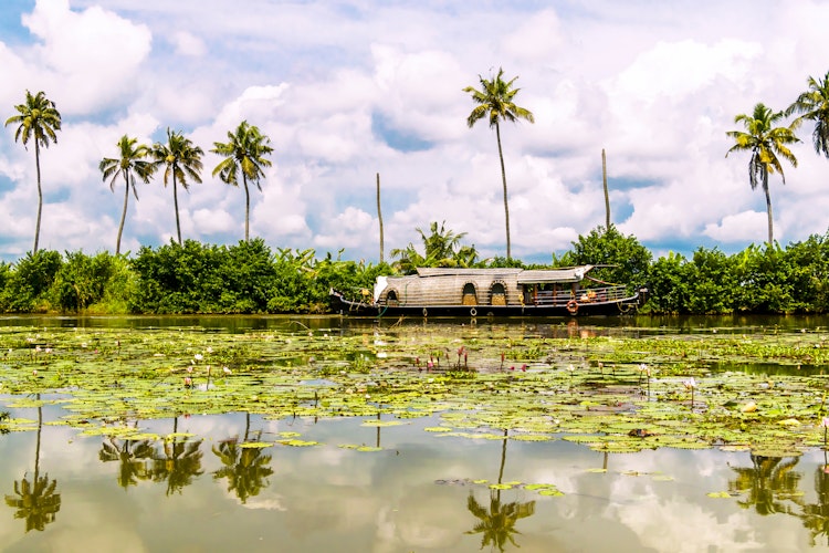 Traditionel træhusbåd der sejler gennem de fredelige Kumarakom backwaters i Kerala, Indien, omgivet af frodige kokospalmer og tropisk grøn vegetation