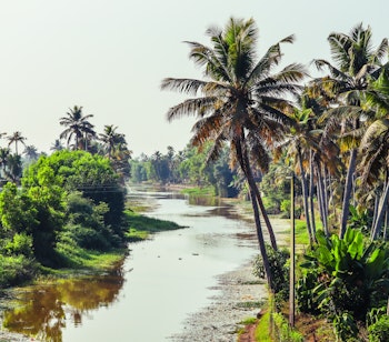 Idylliske backwaters i Kumarakom, Kerala med frodige kokospalmer og spejlblankt vand i et naturskønt område anerkendt af National Geographic