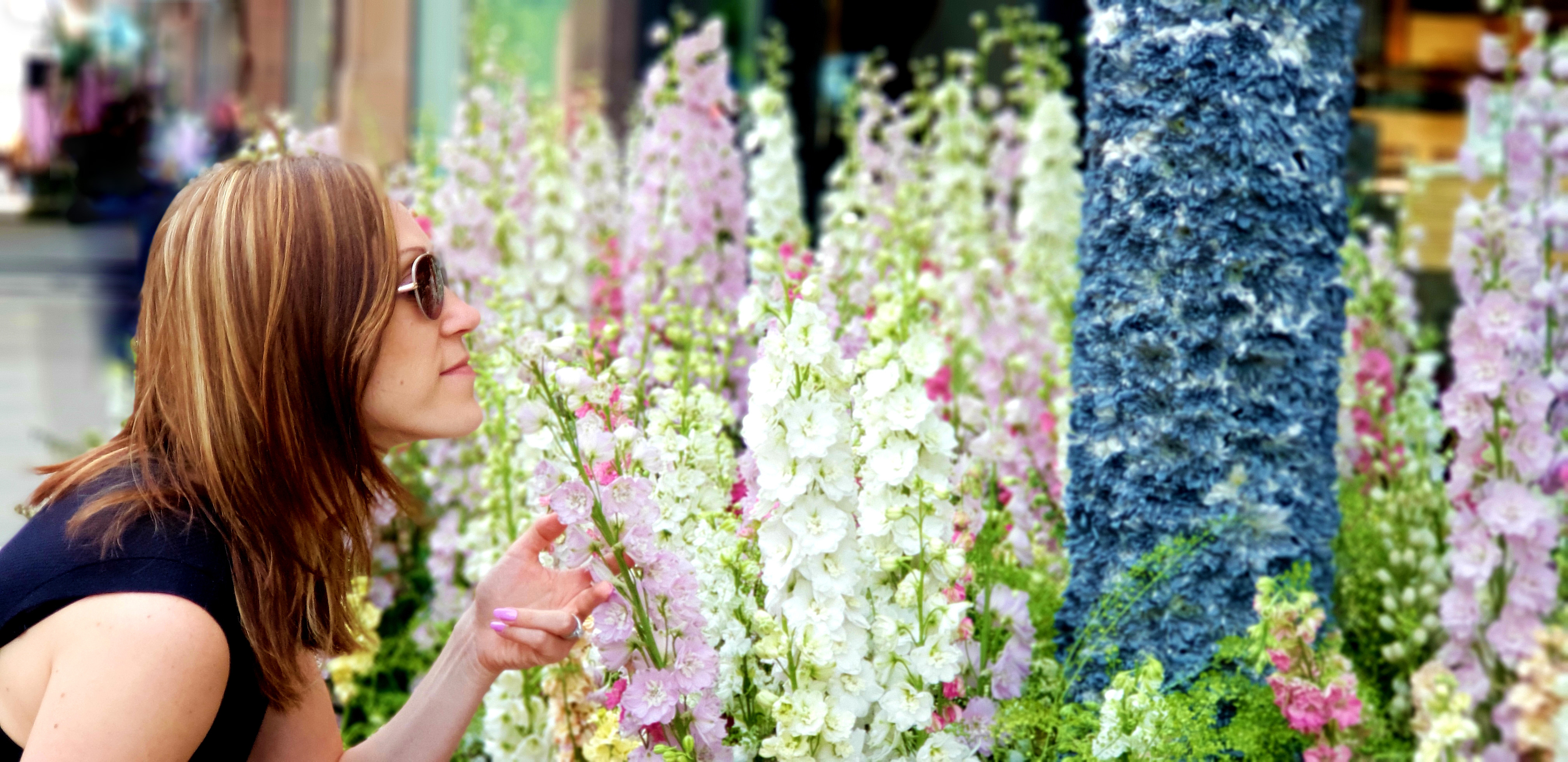 Ung kvinde beundrer smukke hvide og lyserøde riddersporer ved Chelsea Flower Show i London, England