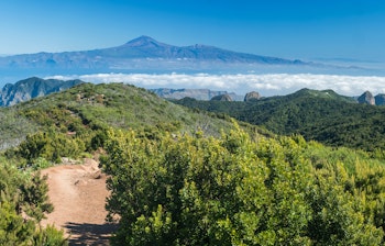 Betagende udsigt over Tenerife og vulkanen Teide fra vandrestien på Alto de Garajonay i La Gomeras nationalpark med grøn vegetation og hvide skyer