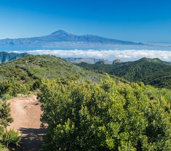 Betagende udsigt over Tenerife og vulkanen Teide fra vandrestien på Alto de Garajonay i La Gomeras nationalpark med grøn vegetation og hvide skyer