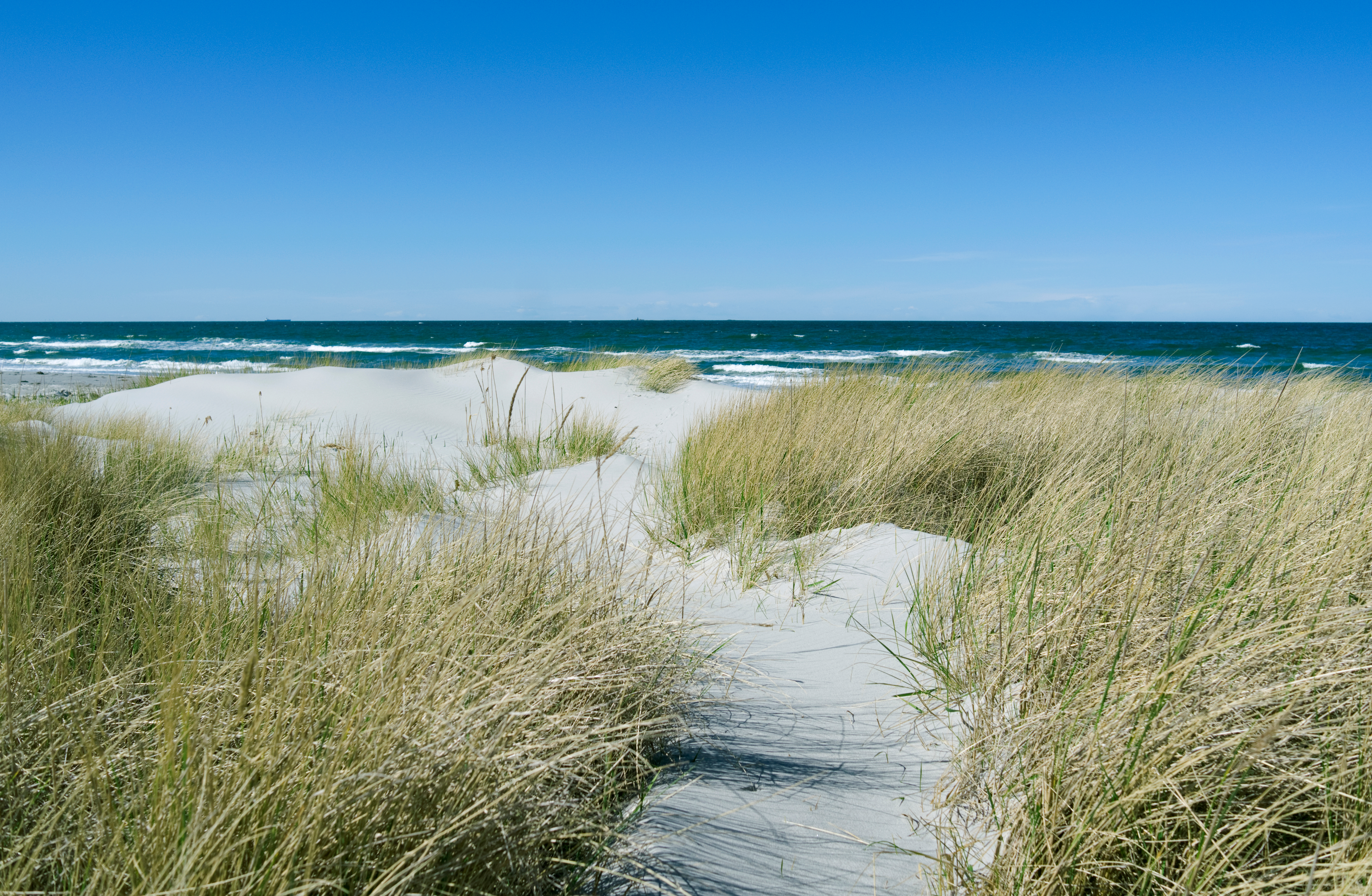 Sandstrand med klitter og strandvej på Læsø Danmark
