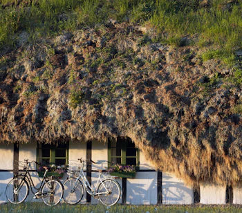 Traditionelt bindingsværkshus med det karakteristiske tykke tangtag på Læsø, et unikt stykke dansk kulturarv med ålegræs som tagmateriale og cykel i forgrunden ved tangruten