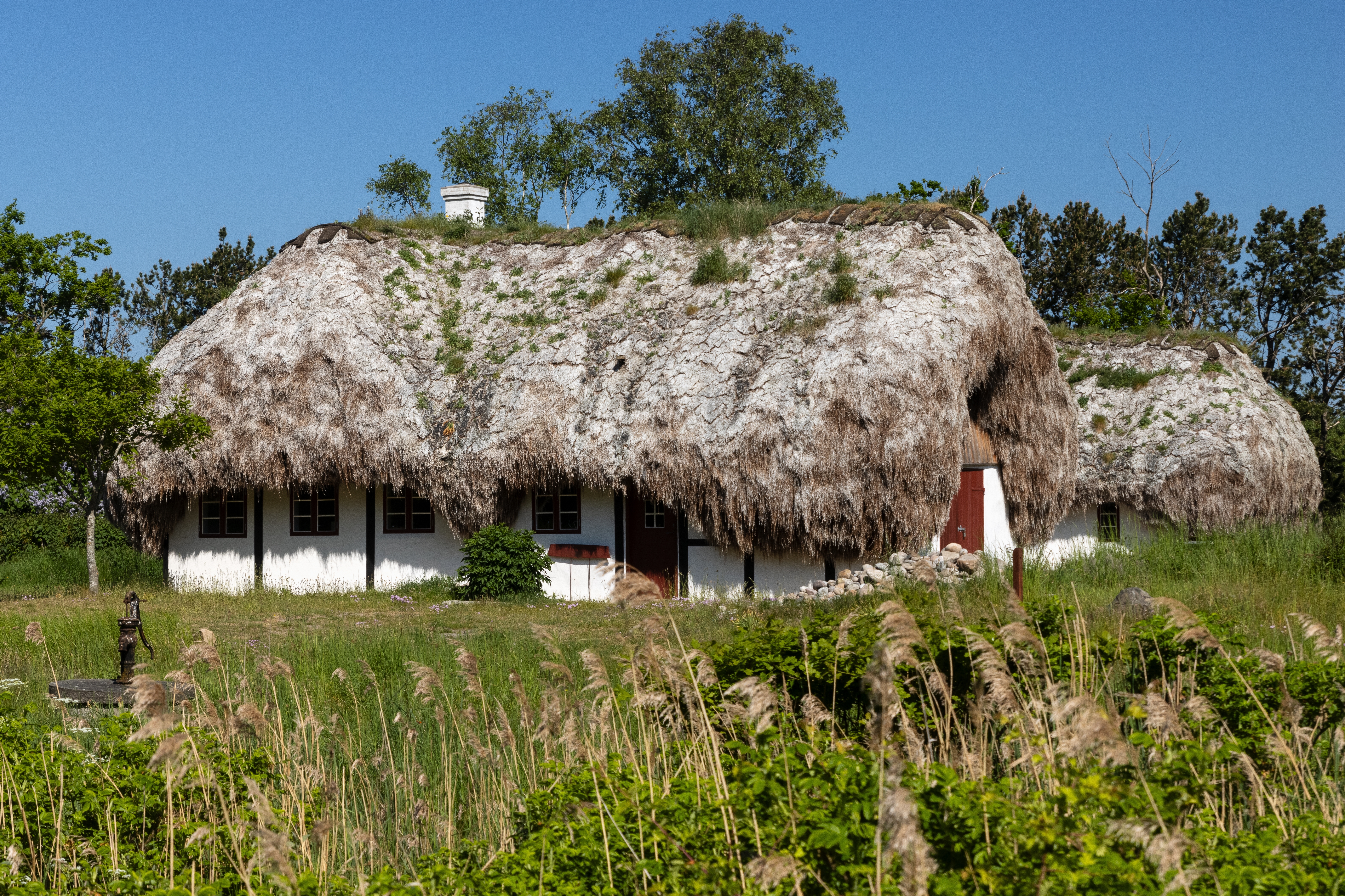Traditionelt tangtagshus på Læsø med 300 år gammelt håndværk – et unikt kulturarvsminde i Nordjylland