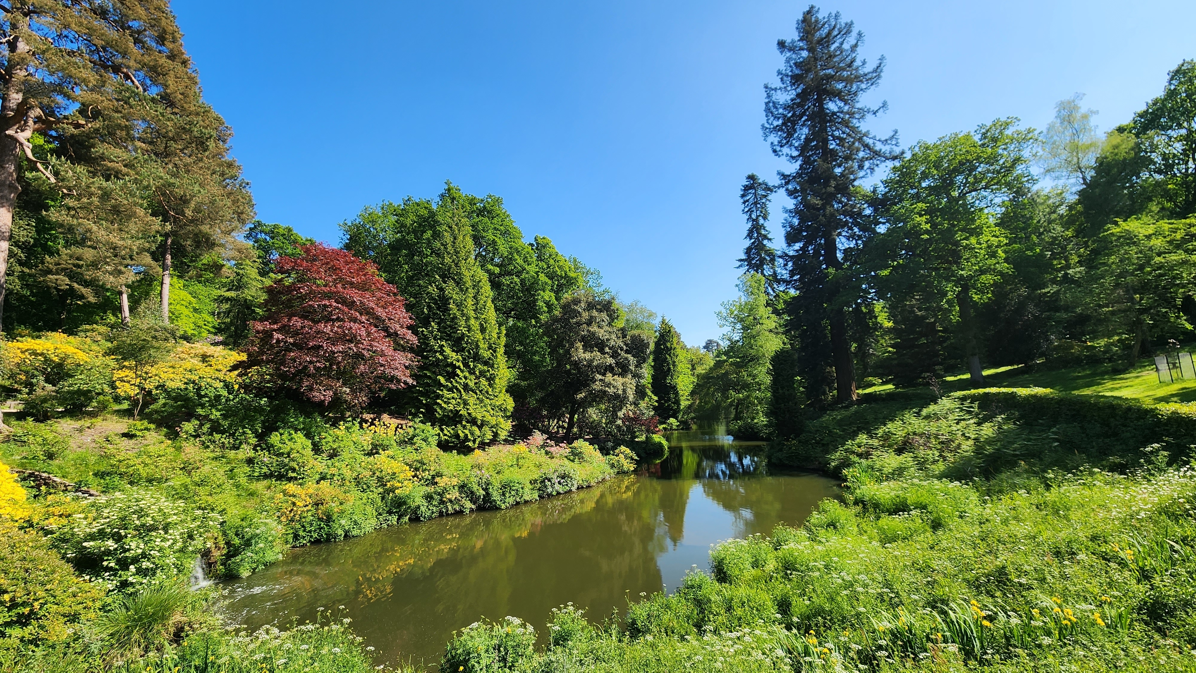 Fredeligt sølandskab i Leonardslee Lakes and Gardens i Horsham, West Sussex, omgivet af frodige grønne træer og farverige buske på en solrig sommerdag