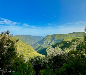Idyllisk vandrerute langs Levada do Alecrim på Madeira med frodig grøn vegetation og klart vand, der fører til lagune og vandfald
