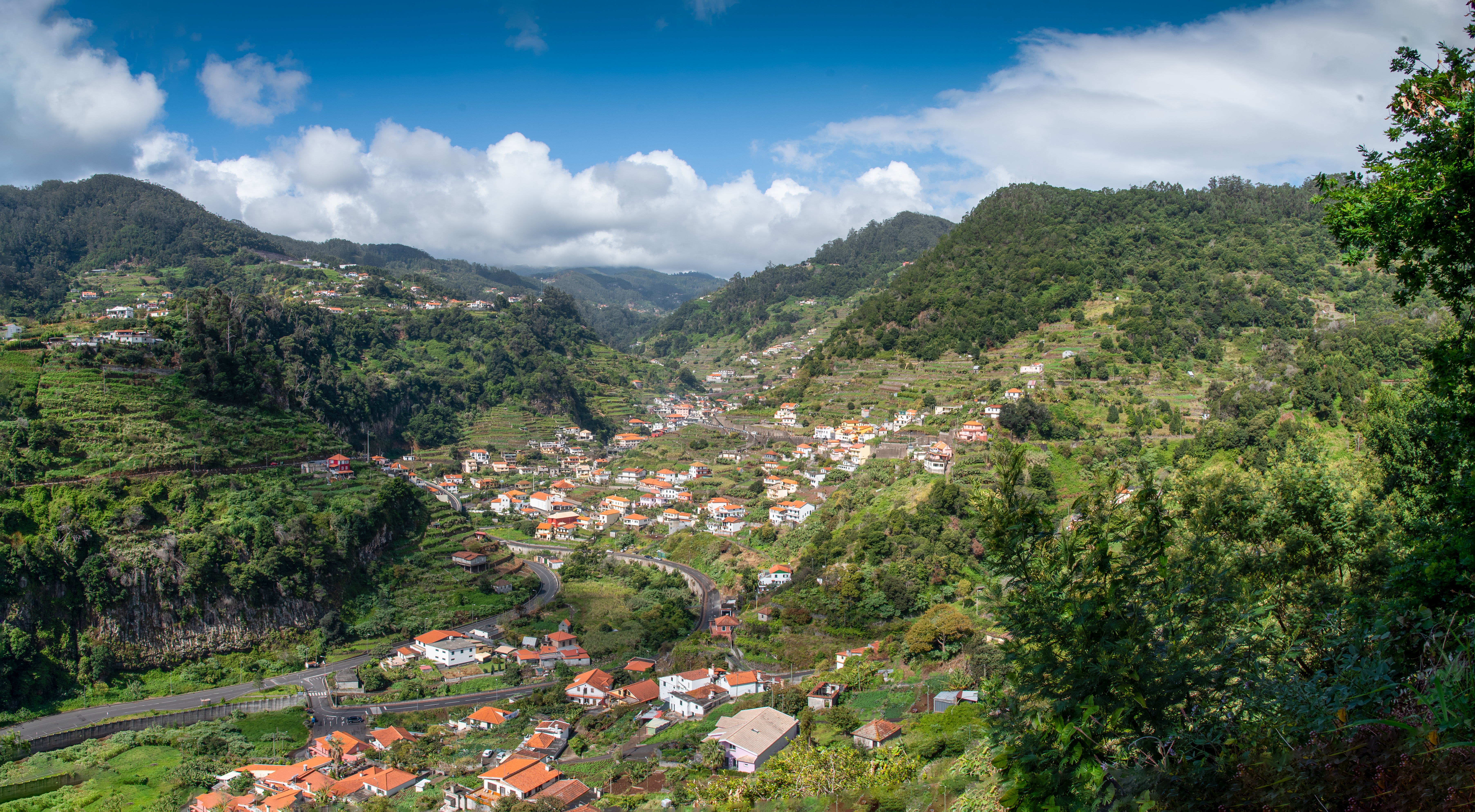 Frodig vandringssti langs Levada dos Marocos vandingskanal i den grønne Mimosa-dal nær Machico på Madeira