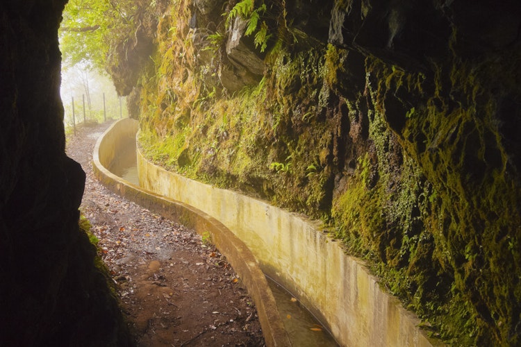 Levada da Serra do Faial nær Ribeiro Frio i det nordøstlige Madeira, hvor vandingskanalen skærer gennem den UNESCO-listede laurisilva skov med vandrestien langs siden og en tunnelindgang