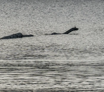 Mystisk mørk form i de bølgede vande ved Loch Ness i Skotland, der ligner den legendariske Loch Ness-sø-drage