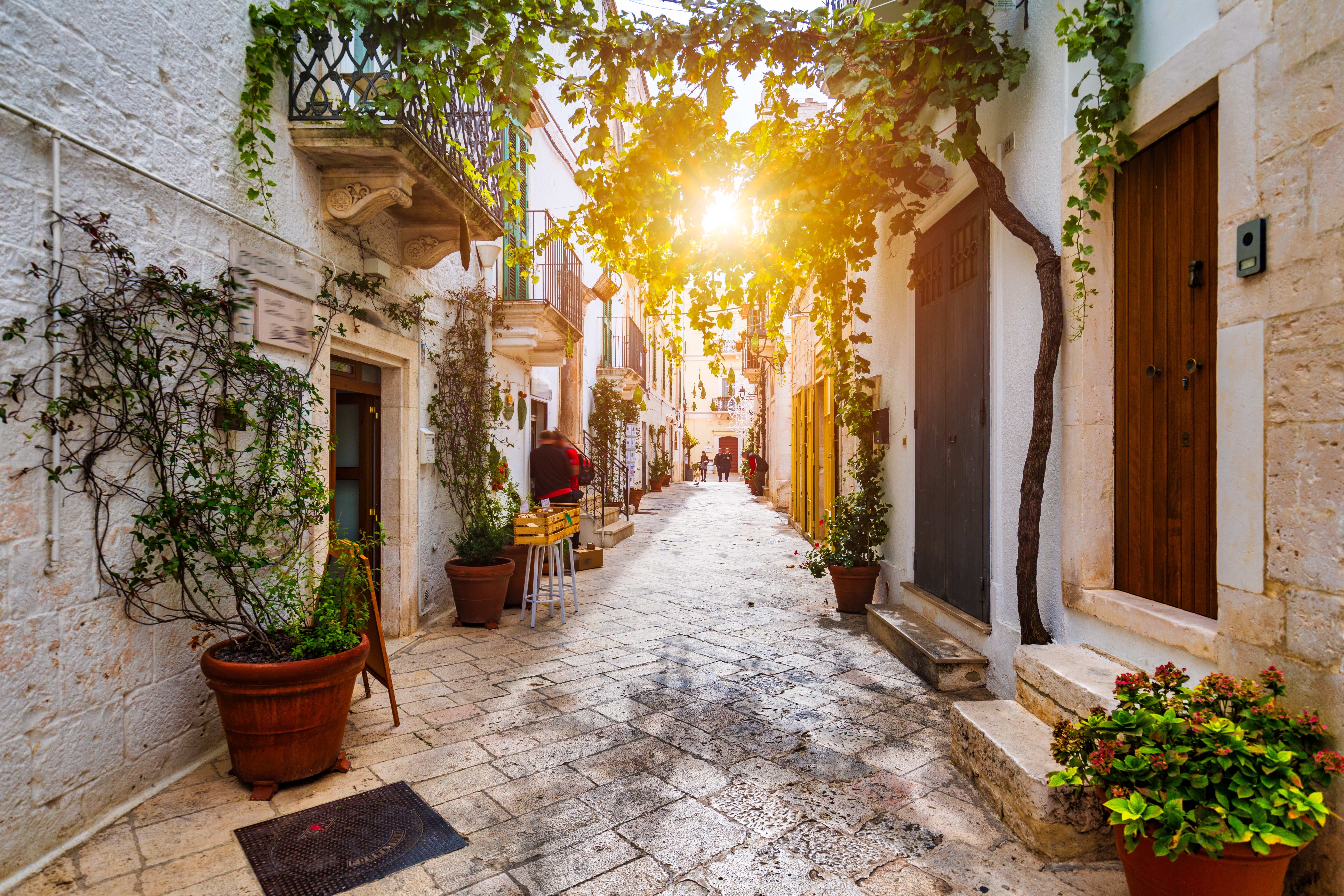 Smuk brolagt gade i den historiske gamle by Locorotondo, Puglia Italien med traditionelle hvide stenbygninger