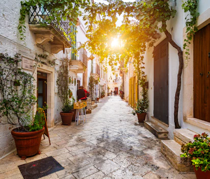 Smuk brolagt gade i den historiske gamle by Locorotondo, Puglia Italien med traditionelle hvide stenbygninger