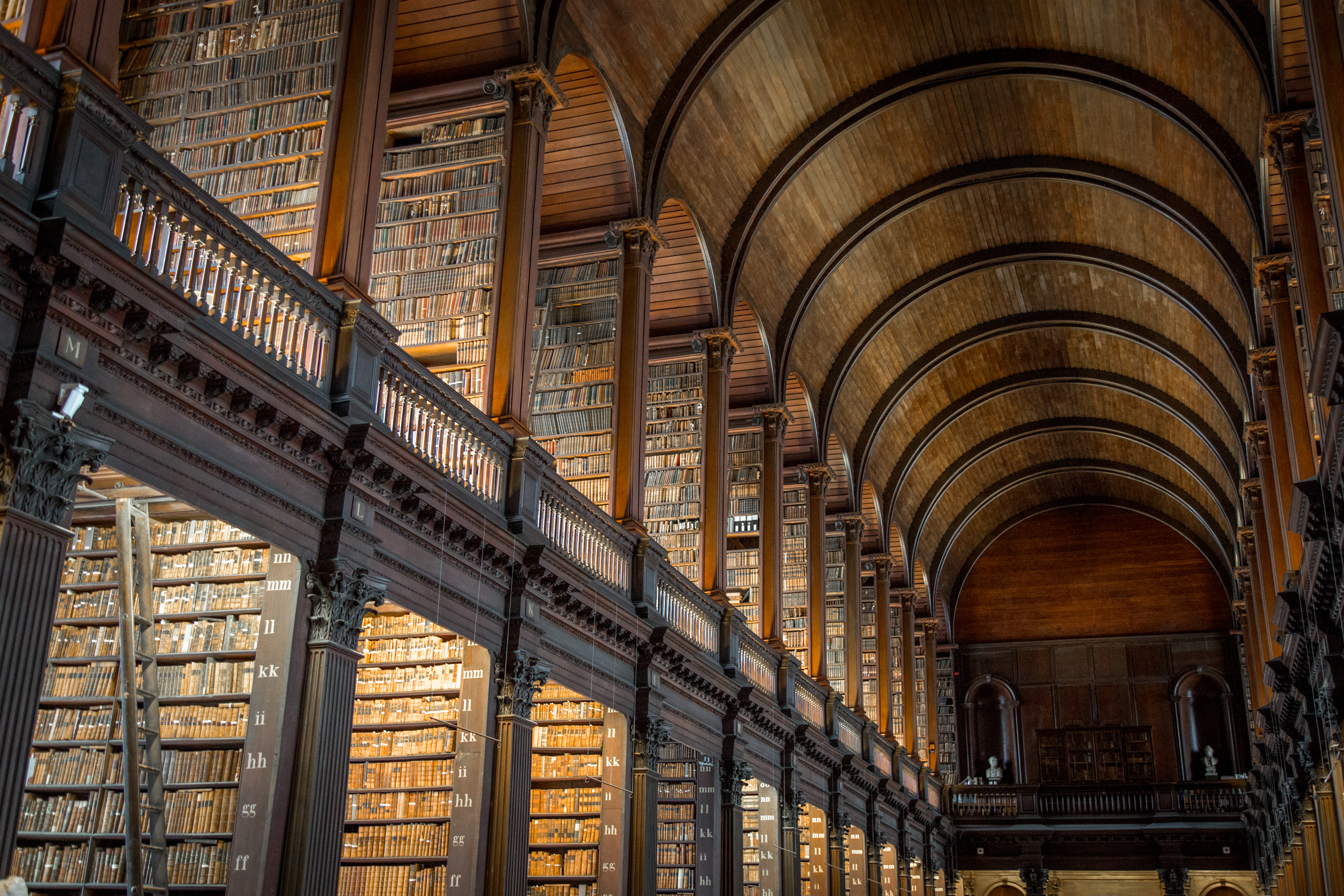 Long Room-biblioteket på Trinity College i Dublin med gamle bøger og marmorstatuer