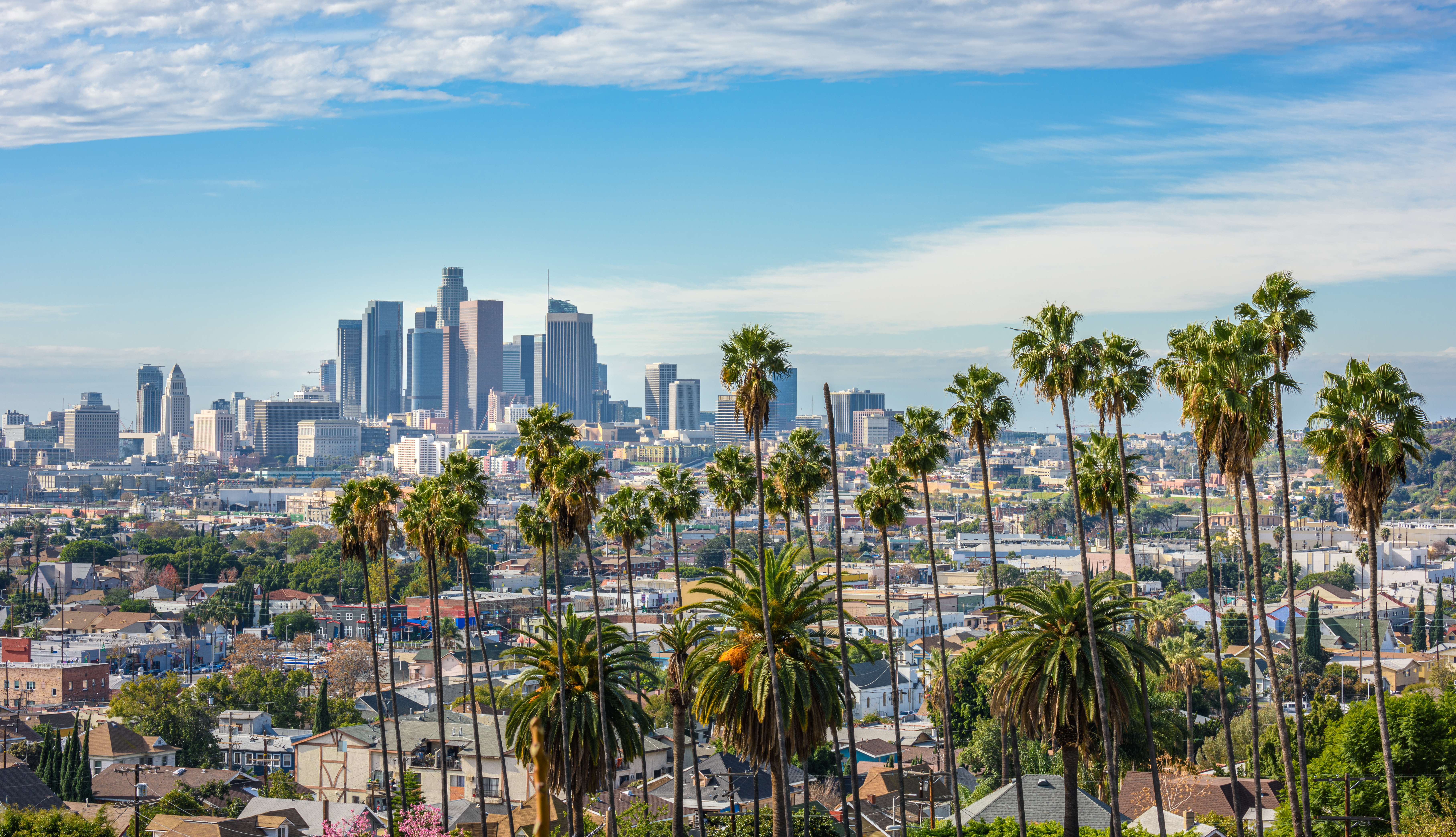 Los Angeles downtown skyline med palmetræer og bybillede i Californien USA