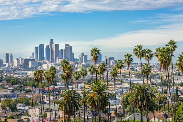 Los Angeles downtown skyline med palmetræer og bybillede i Californien USA
