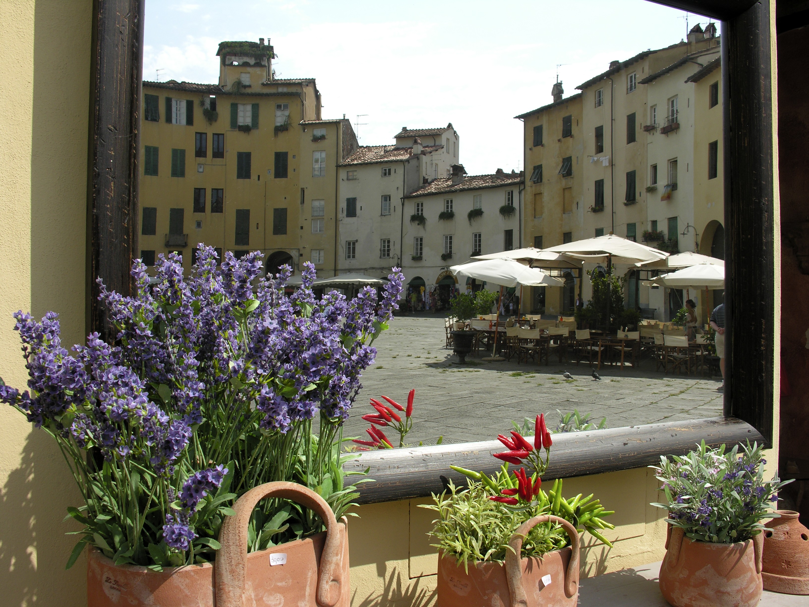 Kreativt spejlbillede af den historiske plads i Lucca, Toscana, der viser byens charmerende arkitektur og atmosfære