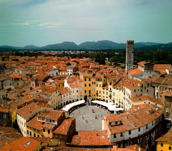 Luftfoto af den ikoniske cirkulære plads Piazza Dell Anfiteatro i middelalderbyen Lucca, Toscana, med karakteristiske røde tegltage og historisk arkitektur