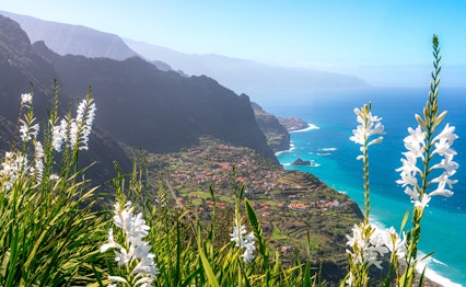 Betagende udsigt over kysten ved Arco de São Jorge fra Miradouro da Beira da Quinta udsigtspunkt på Madeira, med dramatiske klipper og azurblåt hav