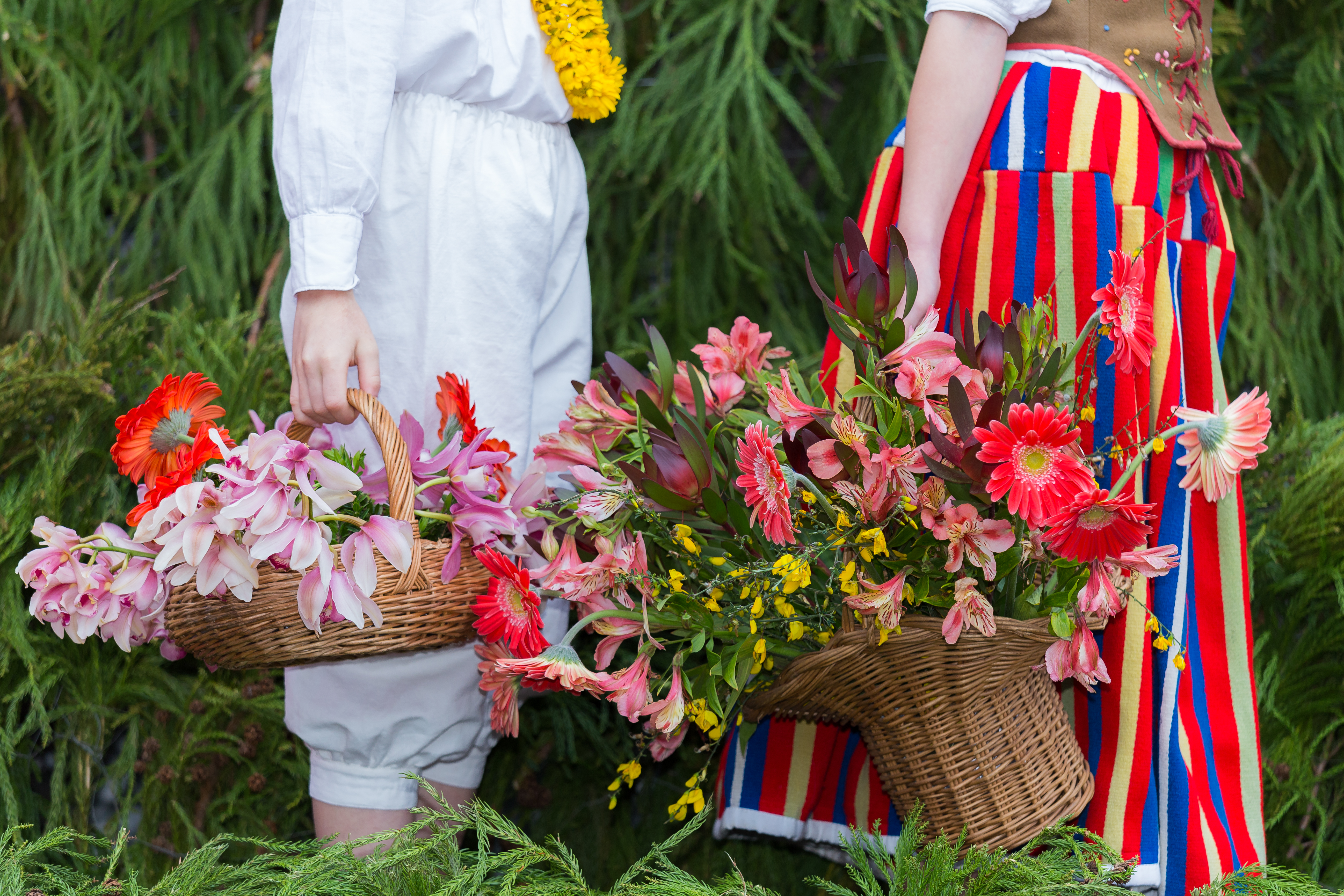 Unge i farverige traditionelle dragter holder en smuk blomsterkurv under den berømte blomsterfestival på Madeira i Portugal