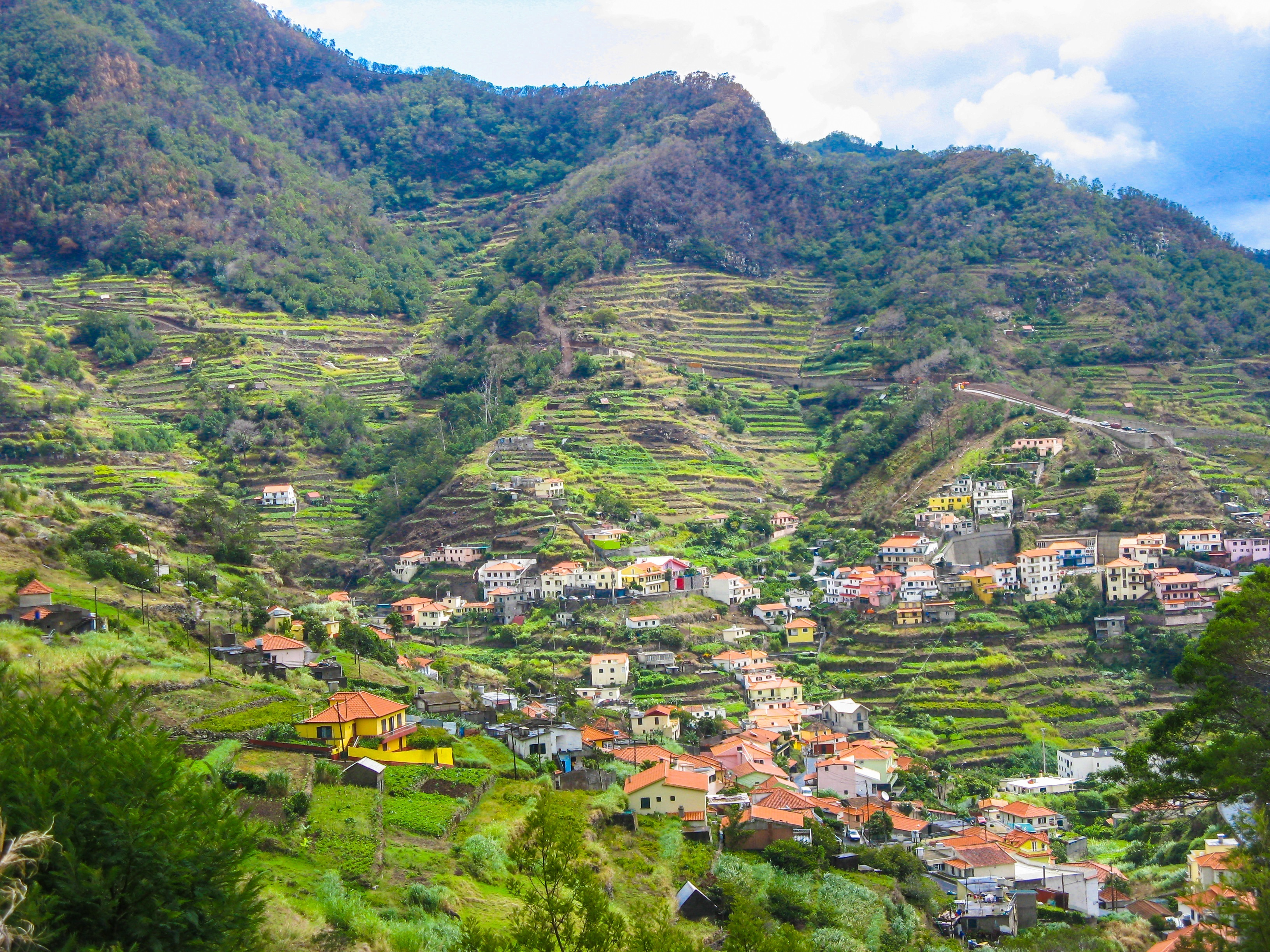 Idyllisk madeiransk landsby omgivet af grønne terrasserede bjerge med traditionelle huse og frodig vegetation på Madeira