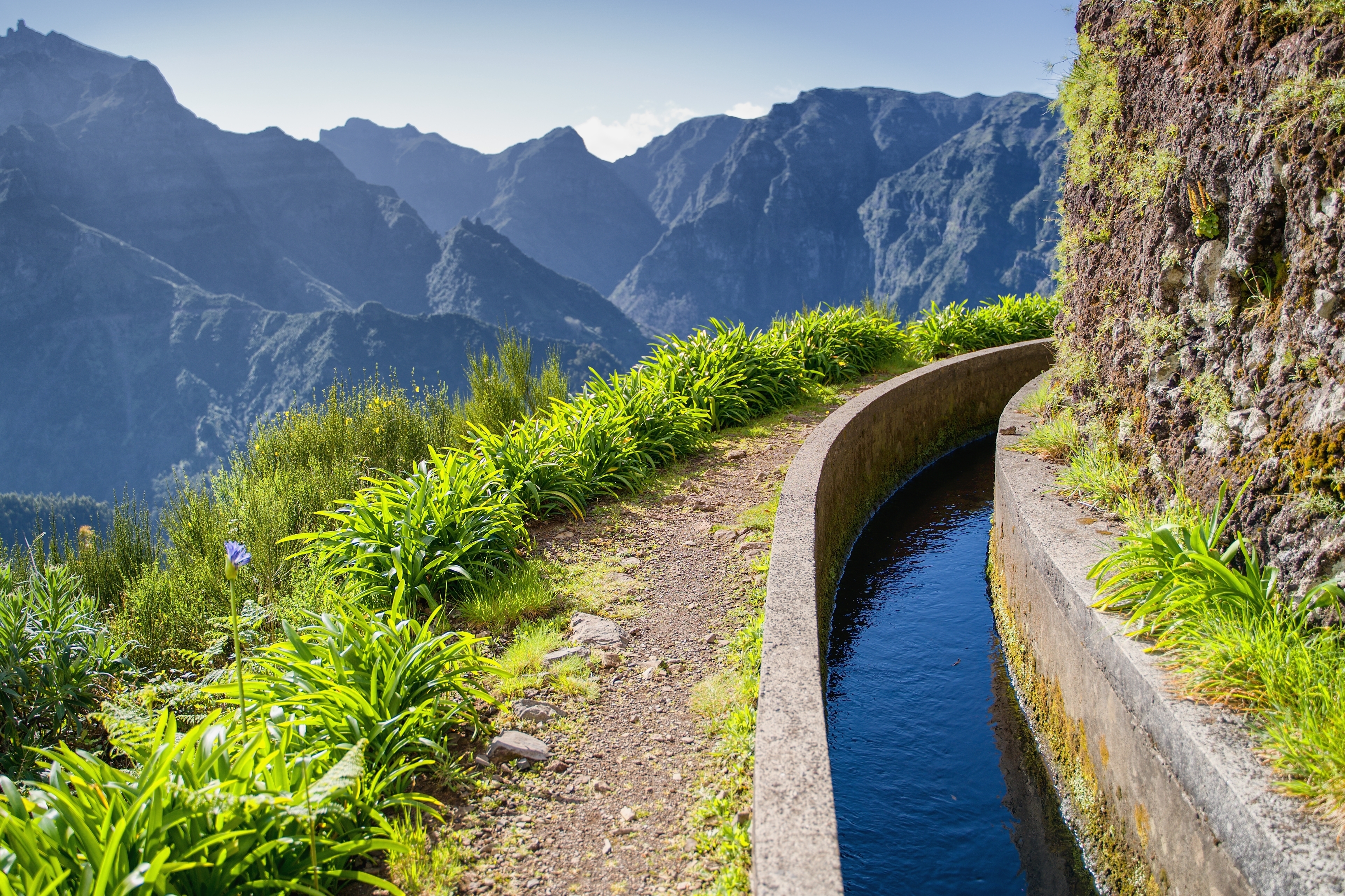 Smuk levada vandrerute med vandingskanal gennem grønne bjerge på Madeira Portugal